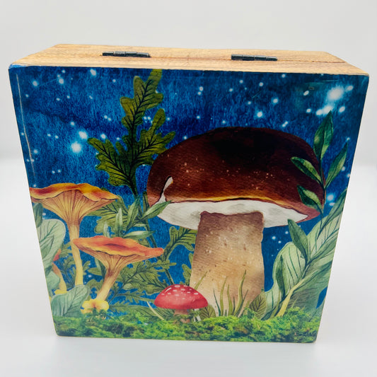 Mango Wood Keepsake Box-Teal