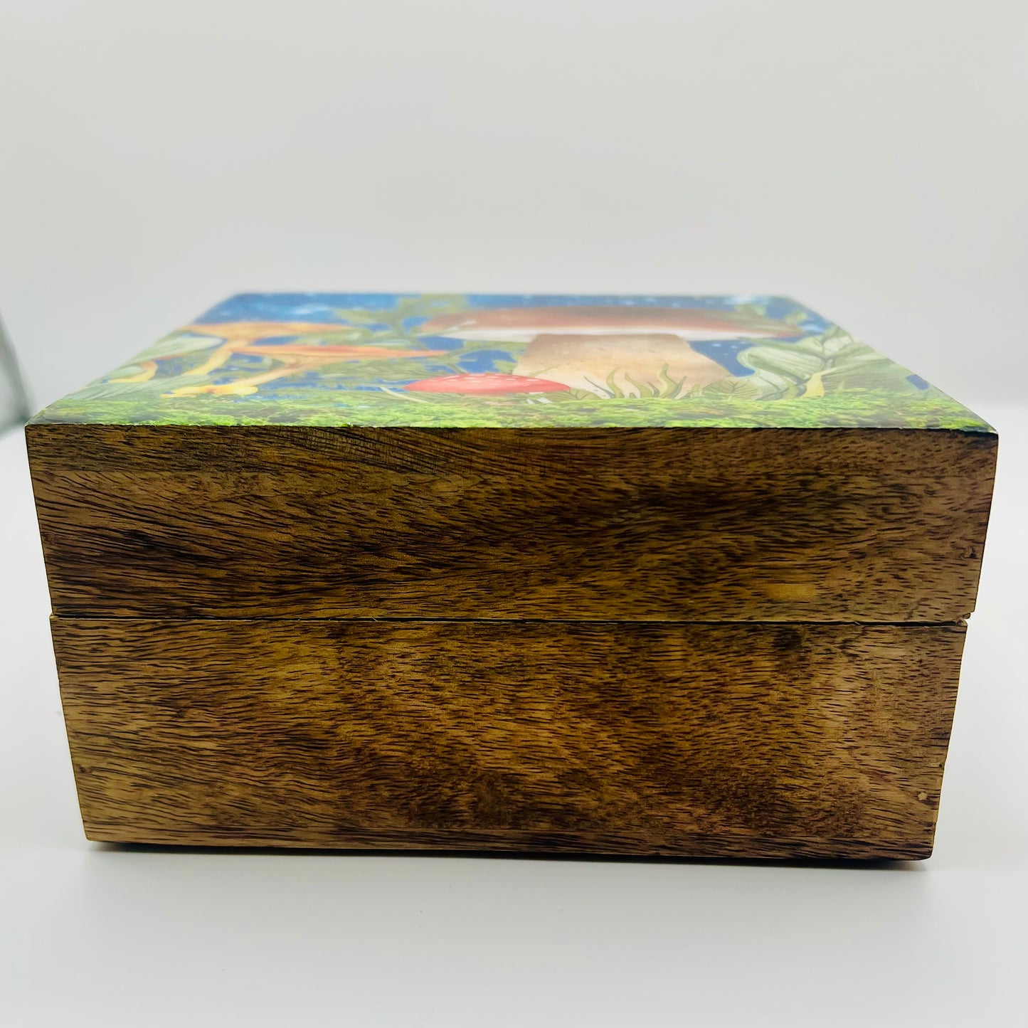 Mango Wood Keepsake Box-Teal