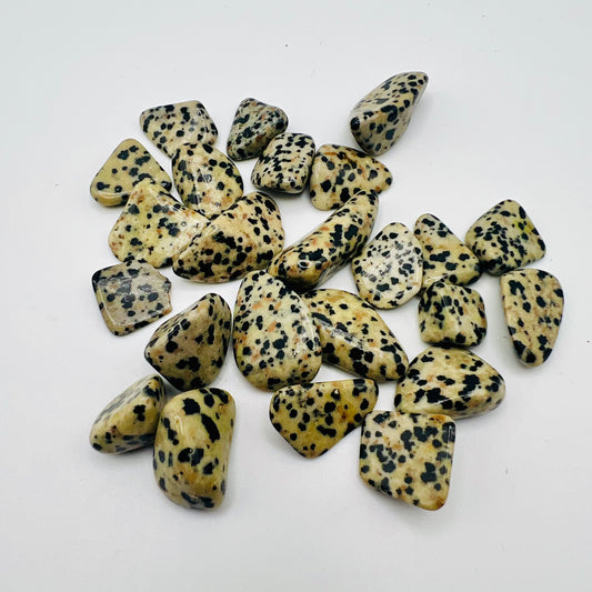 Dalmatian Tumble Stone